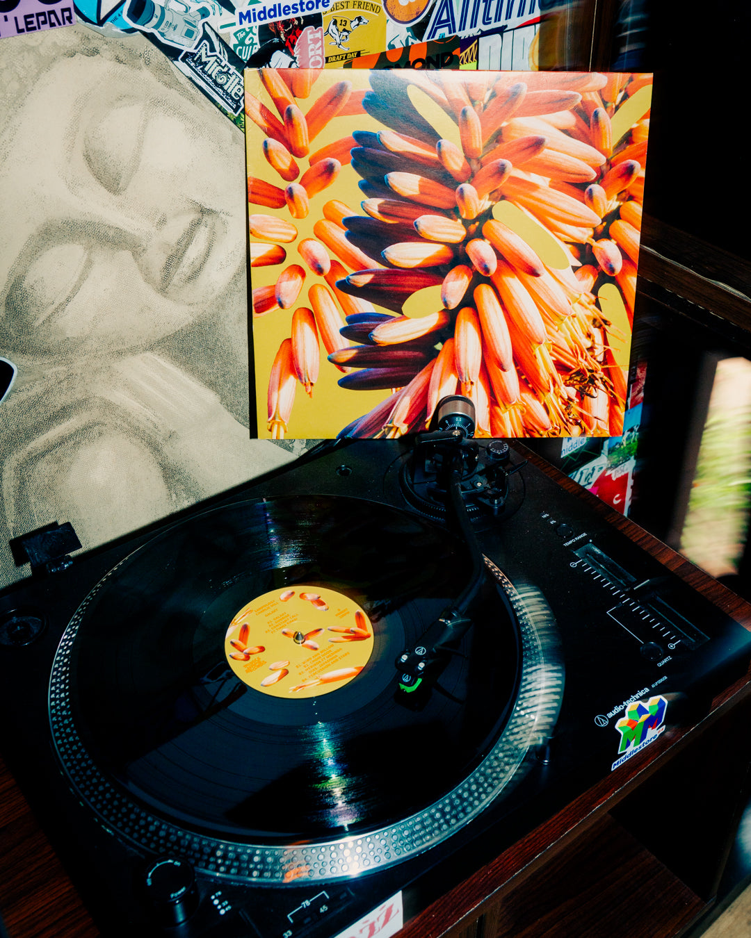 Local Vinyl