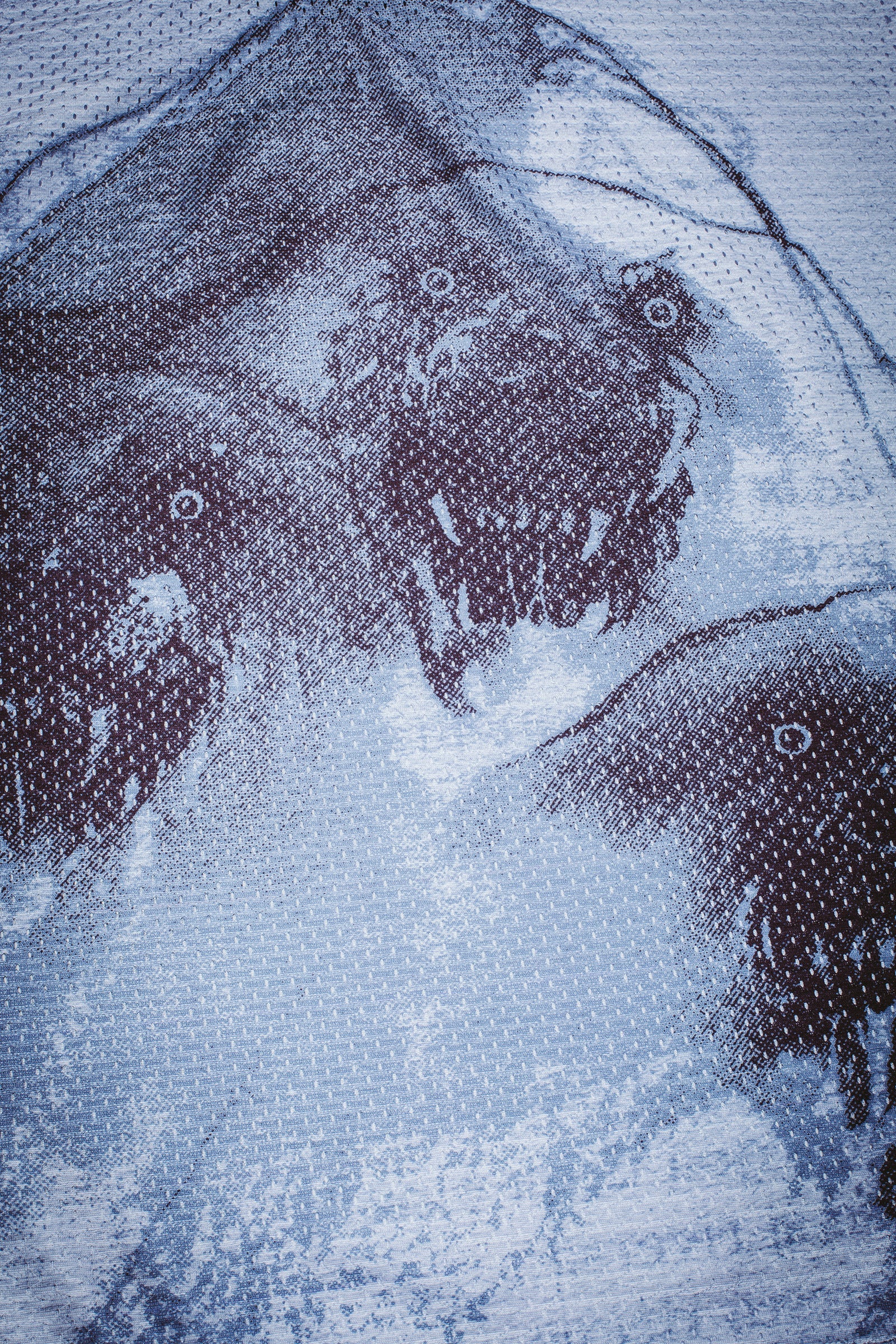 Cerberus Moto L/S Jersey