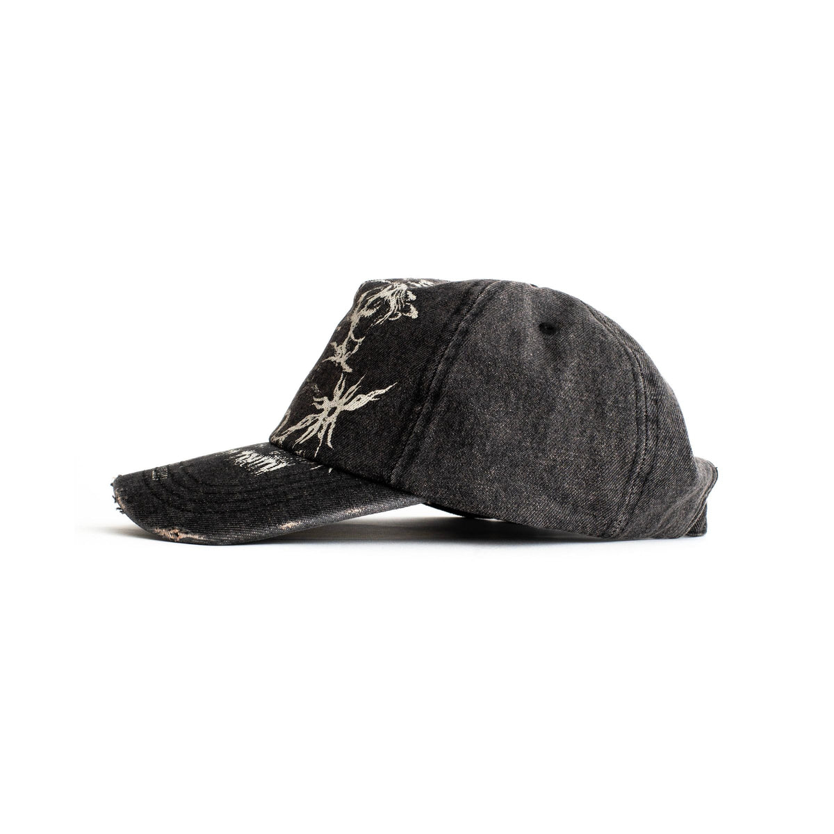Find Truth Distressed Cap