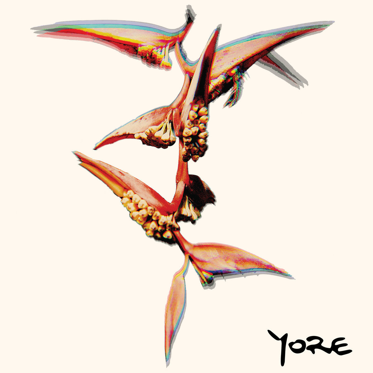 Yore - Charlie HIll