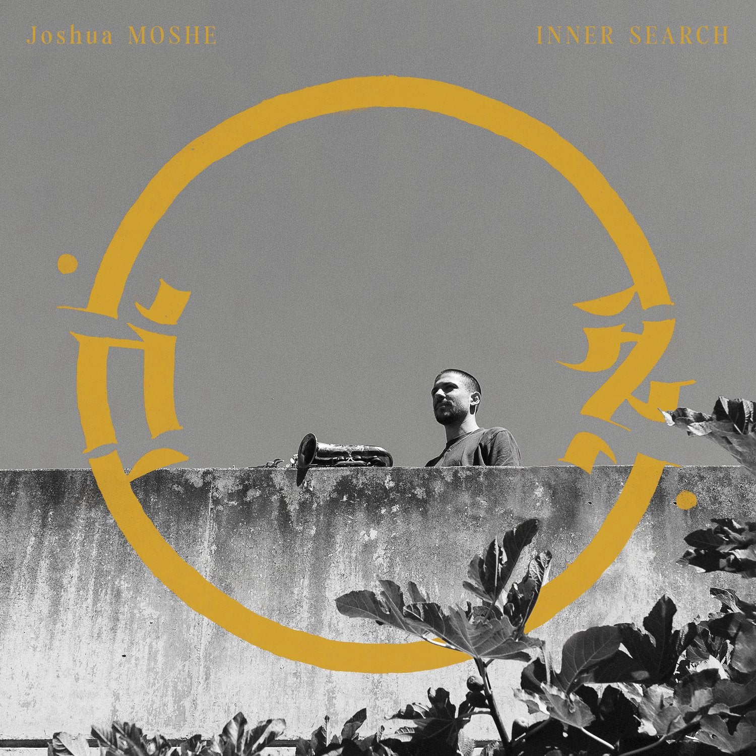 JOSHUA MOSHE - INNER SEARCH