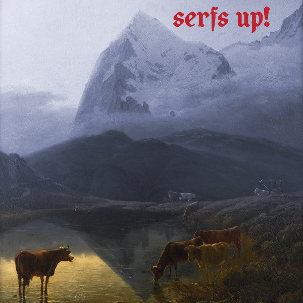 Serfs up! - Preloved LP