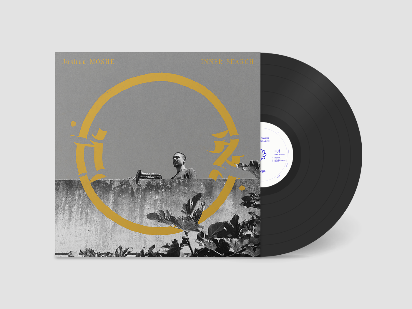 JOSHUA MOSHE - INNER SEARCH