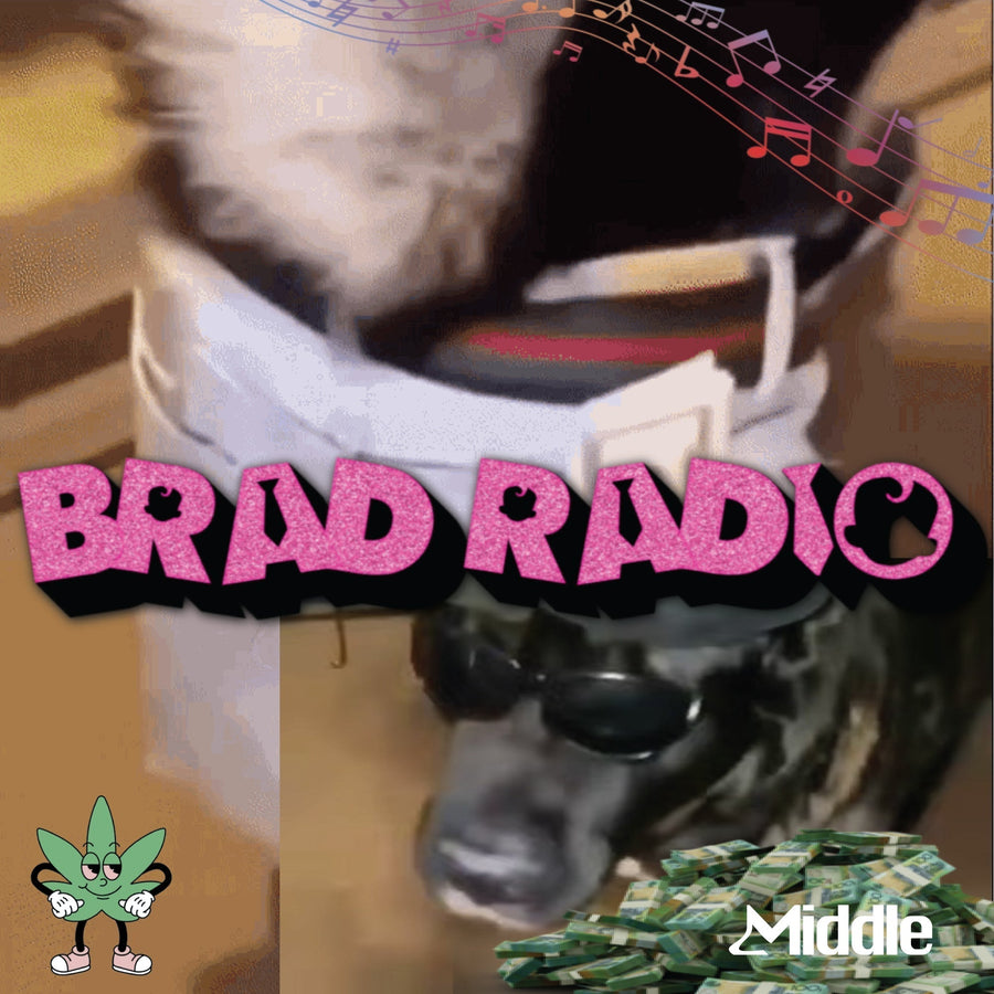 BRAD RADIO