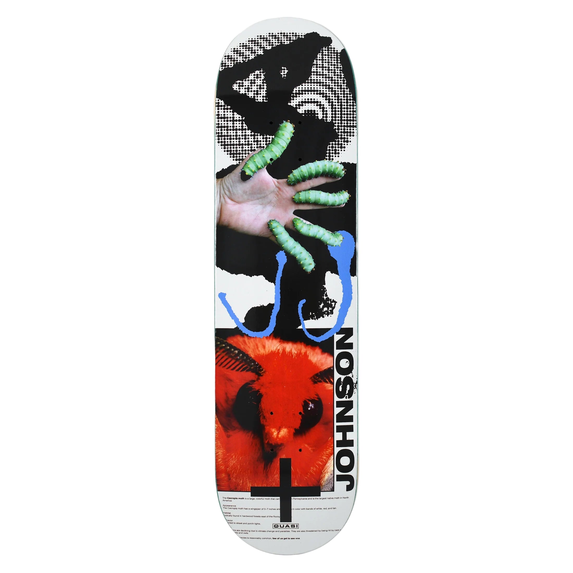 MOTHHEAD DECK 8.25"