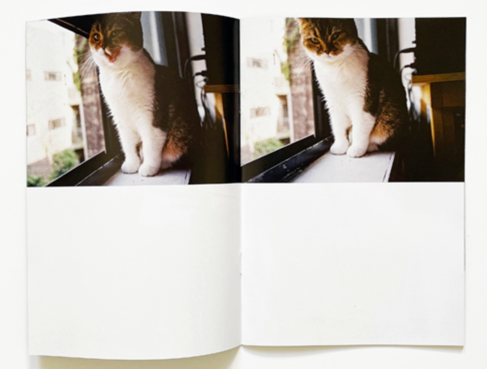 Finlay Flint (London, UK)