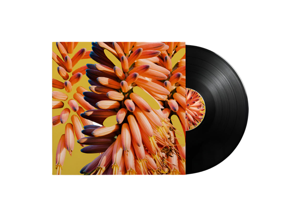 SAMPOLOGY & CHARLIE HILL -  GALAXY 12' VINYL LP